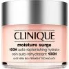 Clinique Moisture Surge 100H Auto-Replenishing Hydrator 125ml -Clinique Sales Clinique Moisture Surge 100H Auto Replenishing Hydrator 125ml