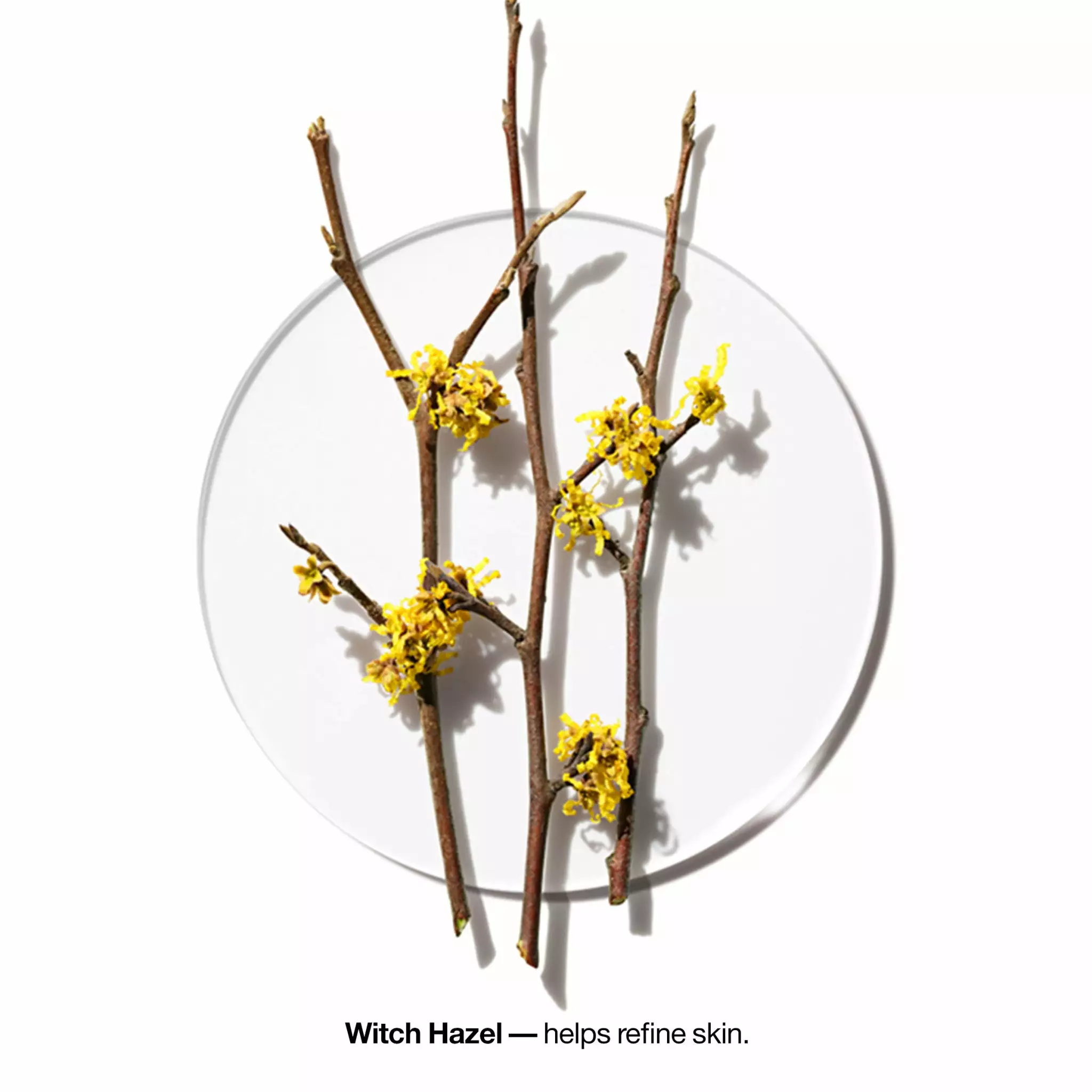 Clinique Clarifying Lotion 4 4 Clinique Clarifying Lotion 4 - Image 2